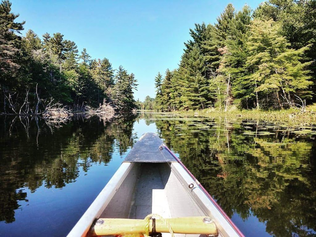 Georgian Shores Adventures | 8th Ave W, Owen Sound, ON N4K 5M5, Canada | Phone: (519) 375-7261
