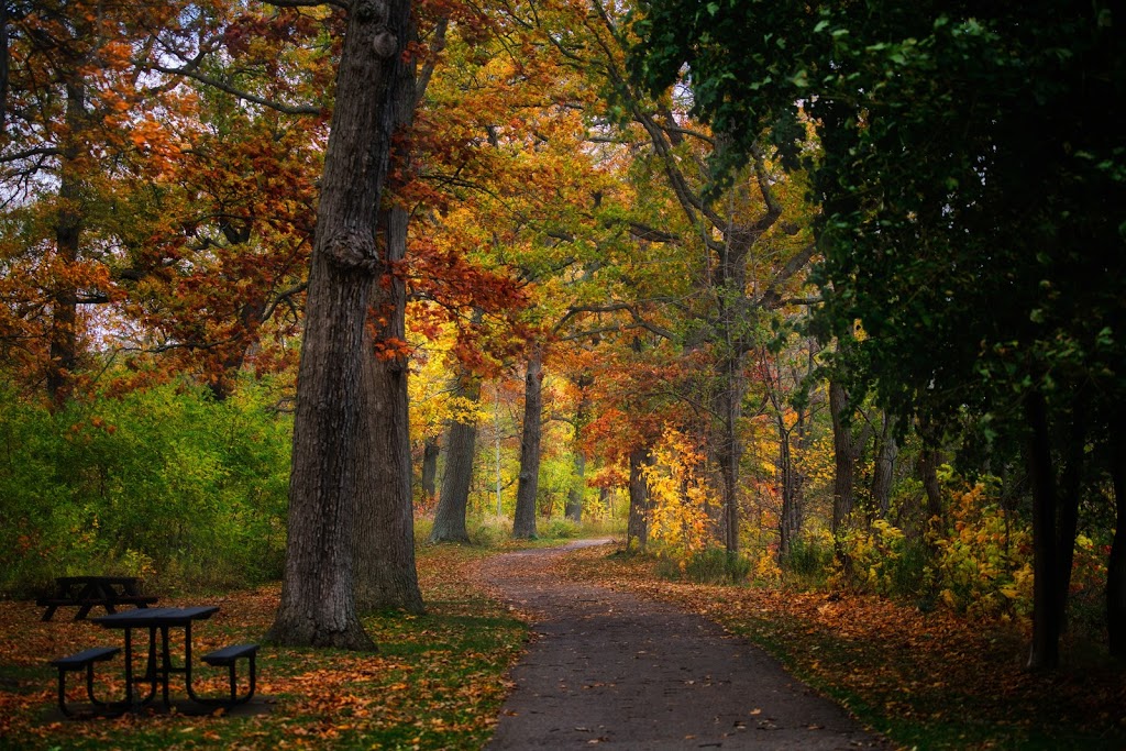 McFarland Park Picnic Pavilion | 15927 Niagara Pkwy, Niagara-on-the-Lake, ON L2E 6T2, Canada | Phone: (905) 468-3322