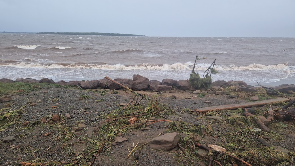 Suncoast Seafood | 87 Chem. du Quai, Grande-Digue, NB E4R 4H7, Canada | Phone: (506) 576-6684
