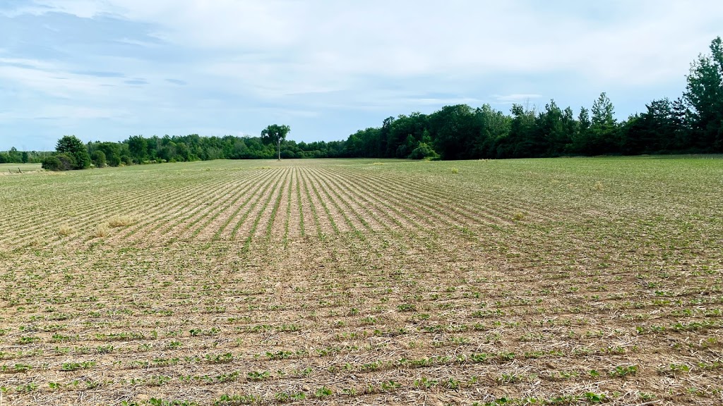 Sparky Stars Farm & Home | 8422 Netherby Rd, Niagara Falls, ON L3B 5N7, Canada | Phone: (519) 580-8695
