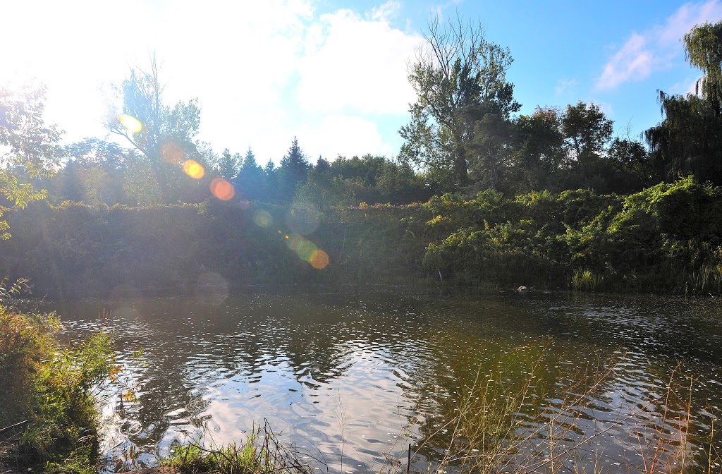 Churchville Park | Brampton, ON L6Y 0A1, Canada
