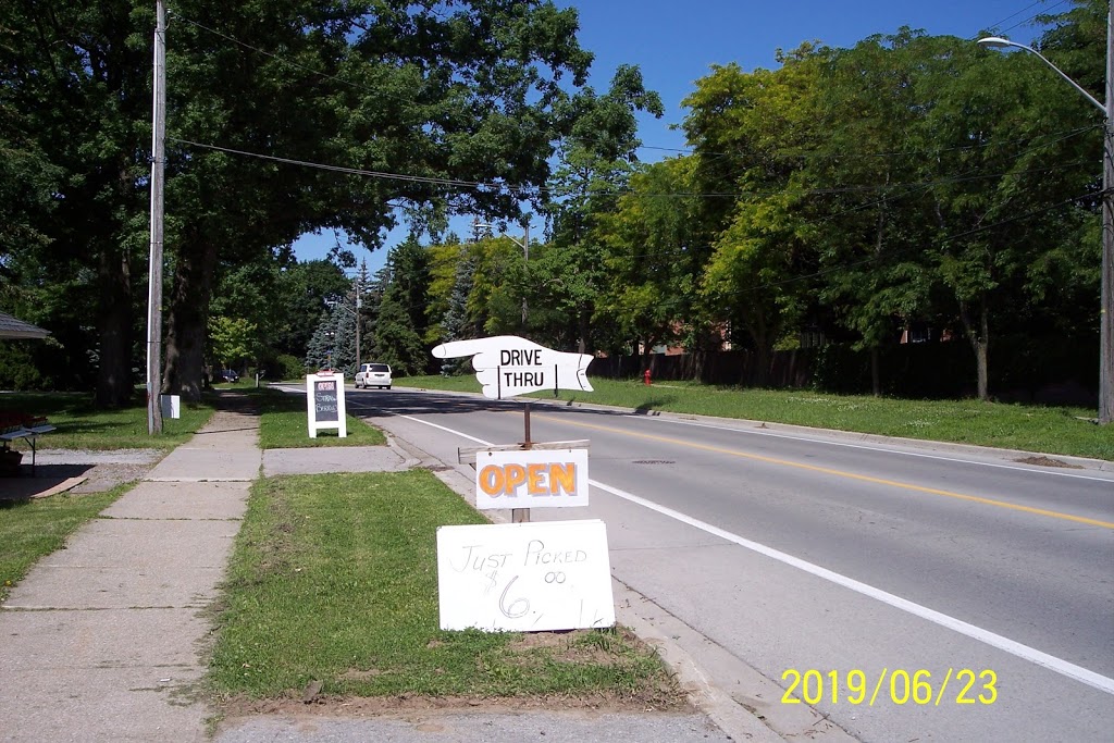 Fruit-Stand-on-Mountain | 6680 Mountain Rd, Niagara Falls, ON L2J 0B5, Canada | Phone: (905) 374-6342