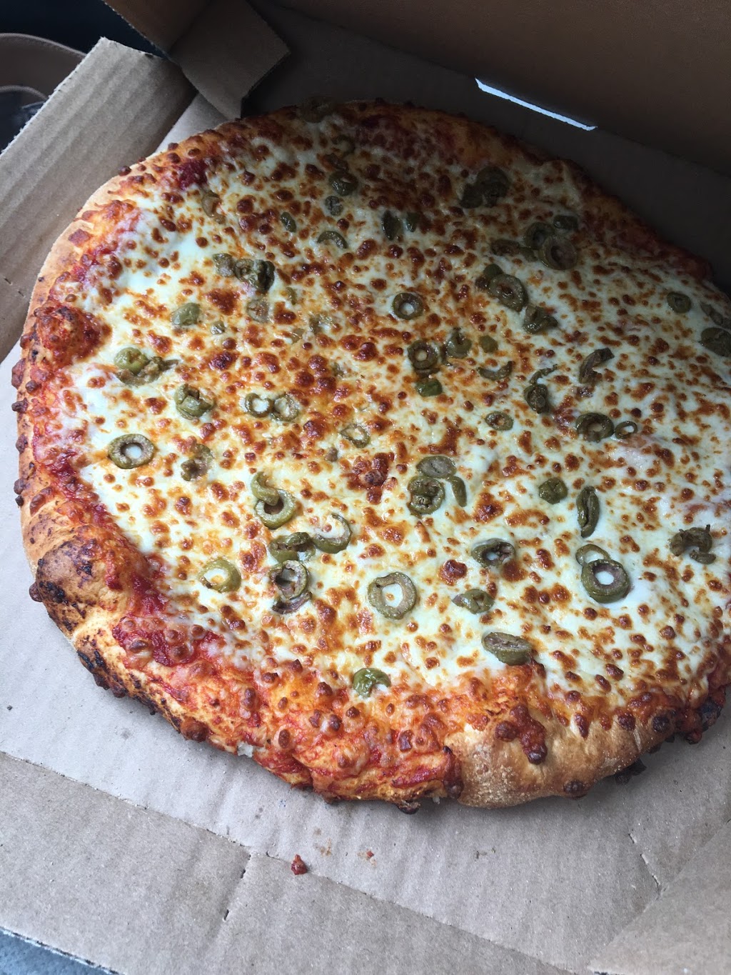 Dominos Pizza | 305 Niagara St, St. Catharines, ON L2M 4V9, Canada | Phone: (905) 938-9000