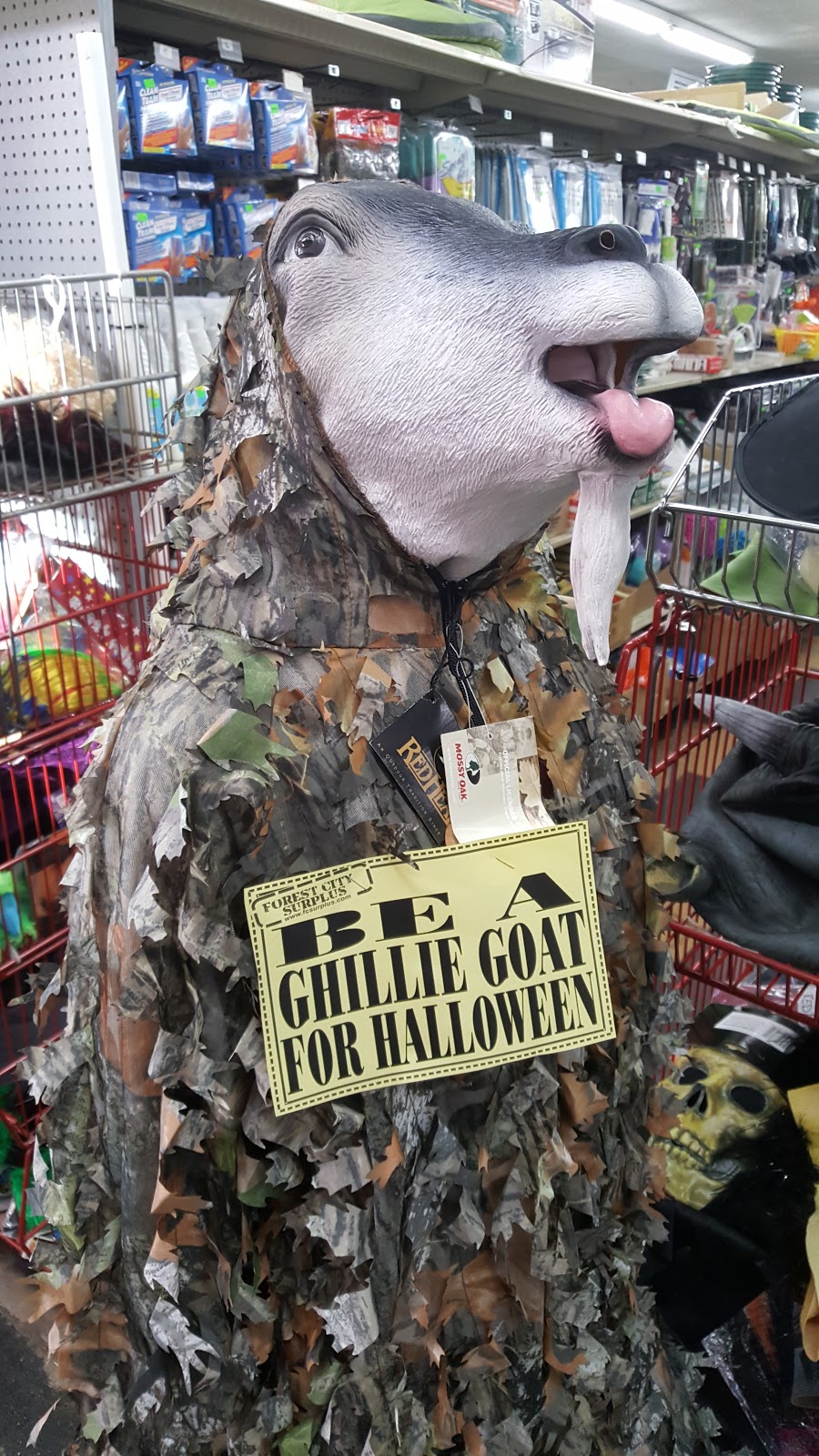 Forest City Surplus Canada | 1712 Dundas St, London, ON N5W 3E1, Canada | Phone: (519) 451-0246