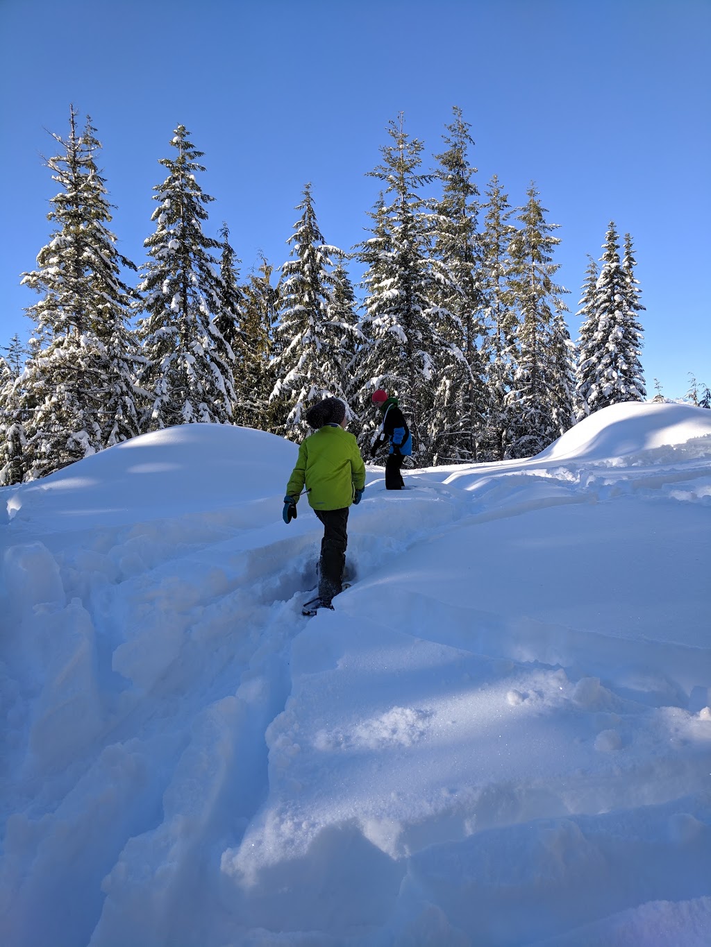 Als Habrich Trail | Al, s Habrich Trail, Britannia Beach, BC V0N 1J0, Canada