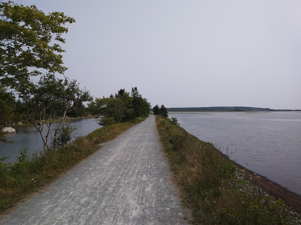 Salt Marsh Trail | Trans Canada Trial, Cole Harbour, NS B2V 2T2, Canada