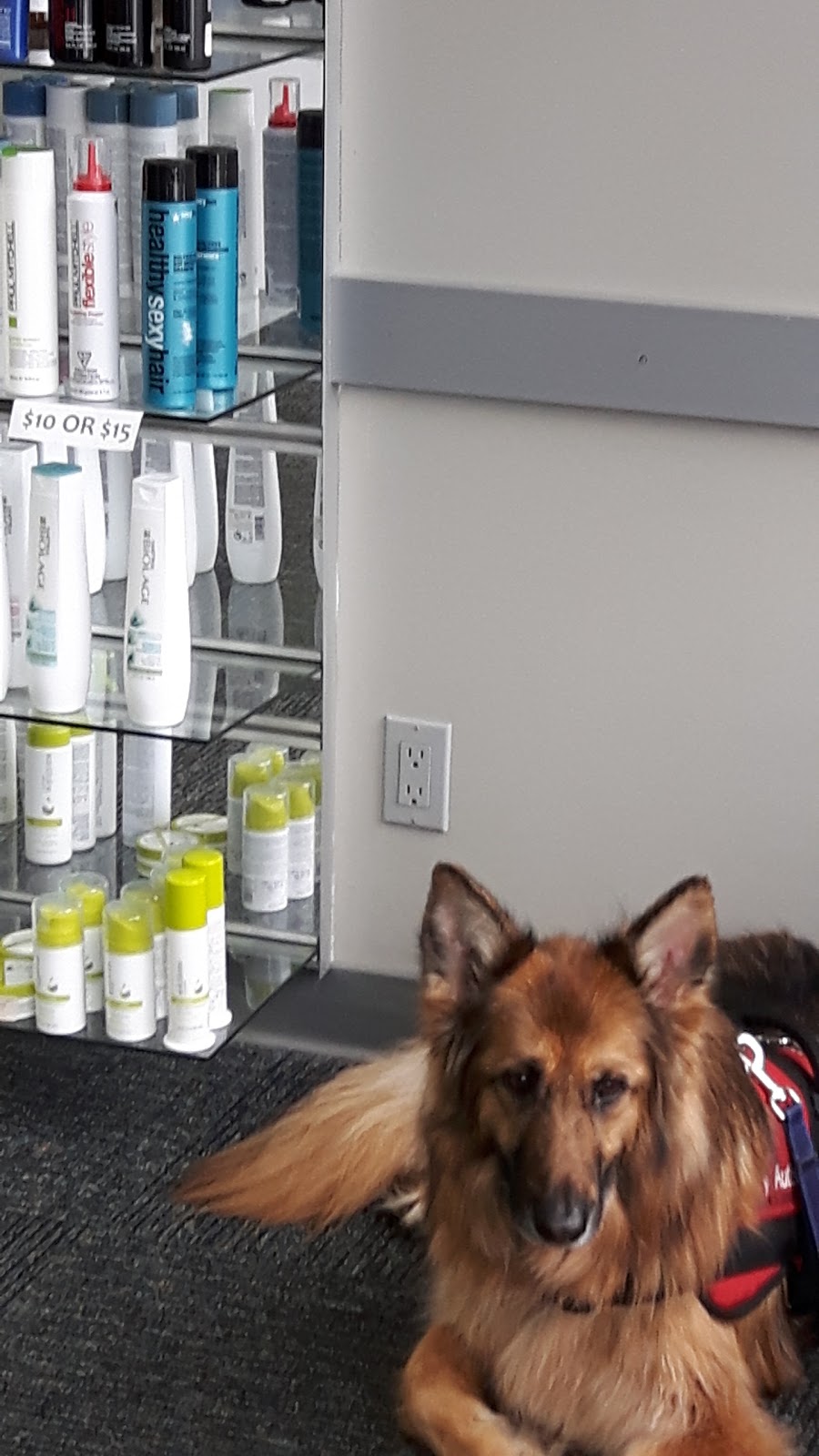 Great Clips | 201-23981 Dewdney Trunk Rd, Maple Ridge, BC V4R 1W1, Canada | Phone: (604) 463-9244
