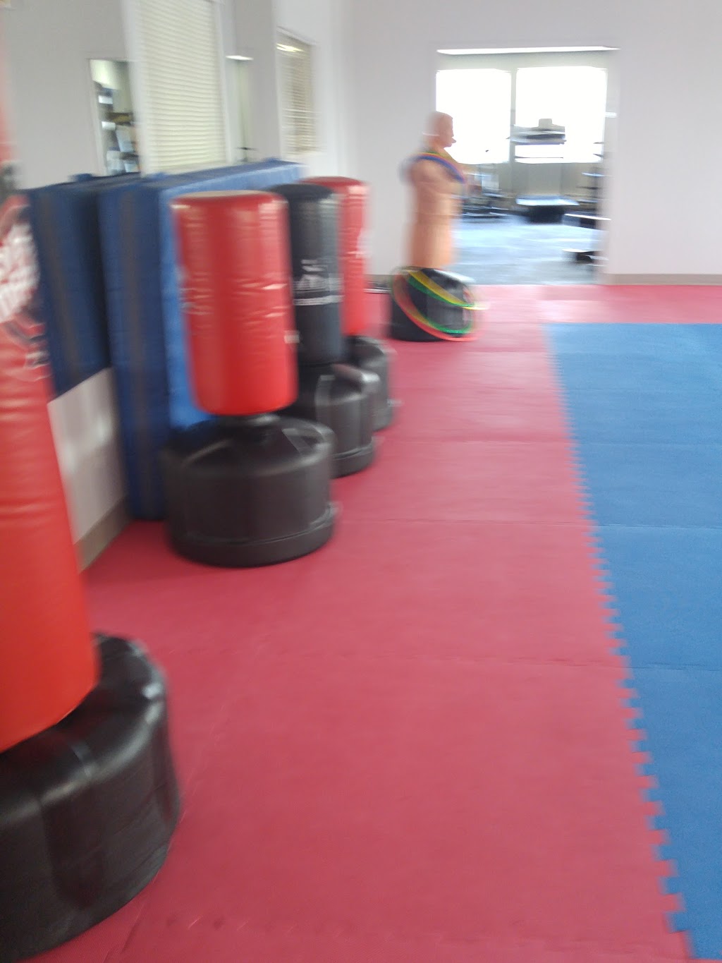 Club de Taekwondo de Bois des Filion | 622 Rue de la Sablière, Bois-des-Filion, QC J6Z 4T2, Canada | Phone: (514) 792-7333