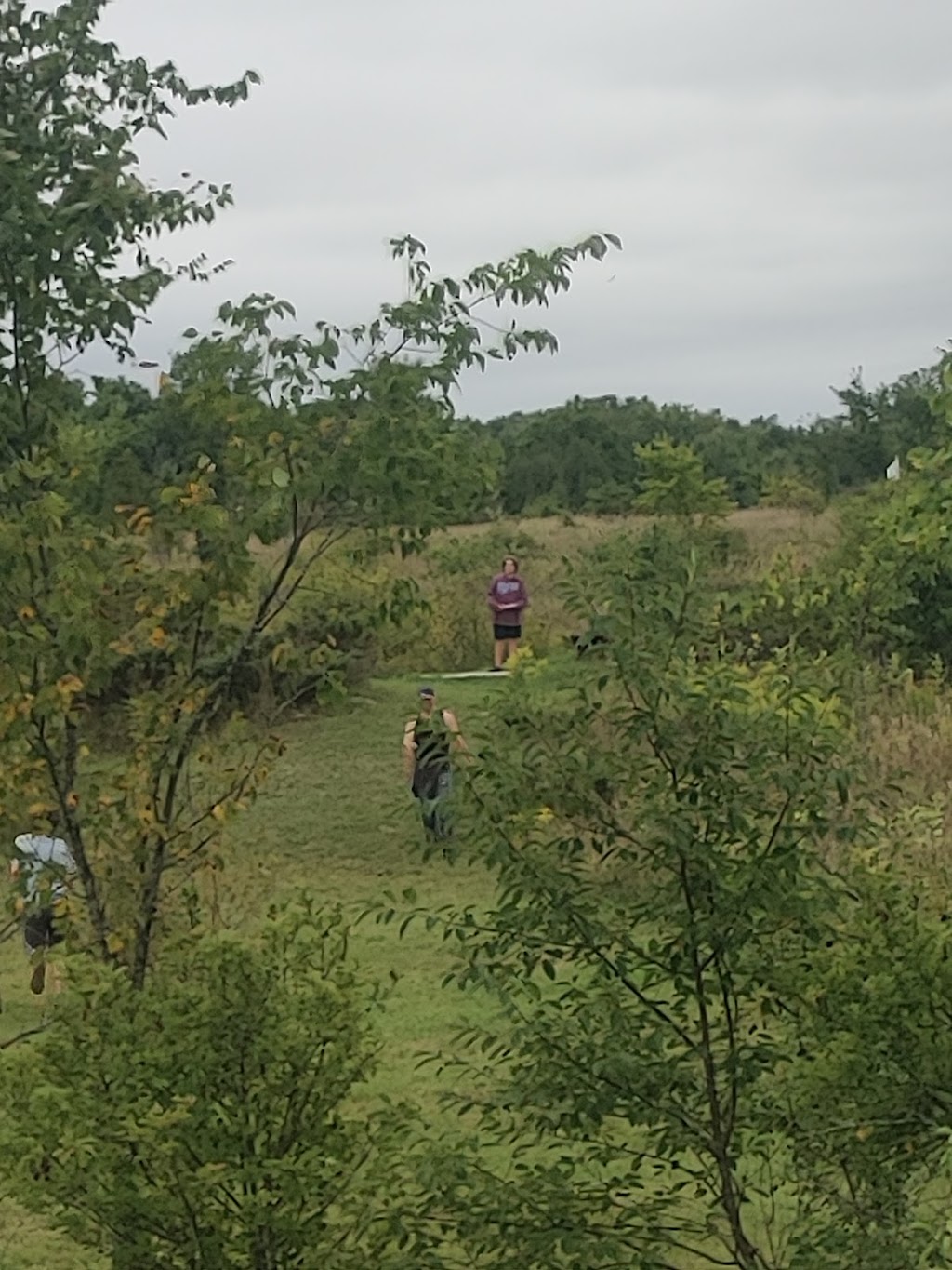 Wild Country Disc Golf in Ontario, Canada | 1157 Kawartha Lakes County Rd 121, Fenelon Falls, ON K0M 1N0, Canada | Phone: (705) 887-1719