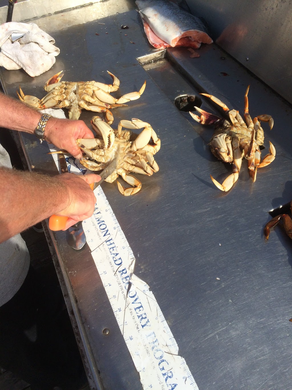 Bonefish Charters | 675 Prowse Rd, Gibsons, BC V0N 1V8, Canada | Phone: (604) 790-3474