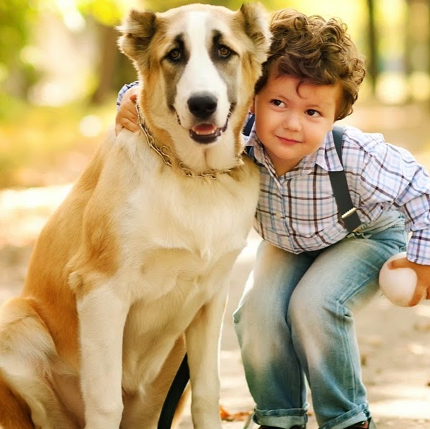 Rutherford Veterinary Clinic | 11464 17 Ave SW, Edmonton, AB T6W 2S5, Canada | Phone: (780) 761-0350