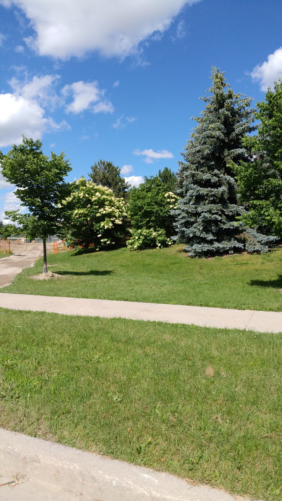 Connorvale Park | 281 Rimilton Ave, Etobicoke, ON M8W 2E5, Canada