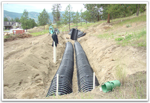 Dyral Sepp Enterprises Ltd | 3434 Blythe-Rhone Rd, Westbridge, BC V0H 1Y0, Canada | Phone: (250) 446-2626