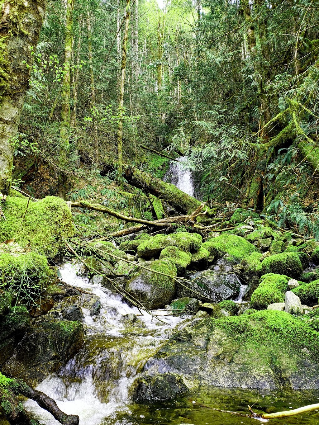 Stocking Lake | 0A8, Stocking Lake Trail, Ladysmith, BC V9G 0A8, Canada