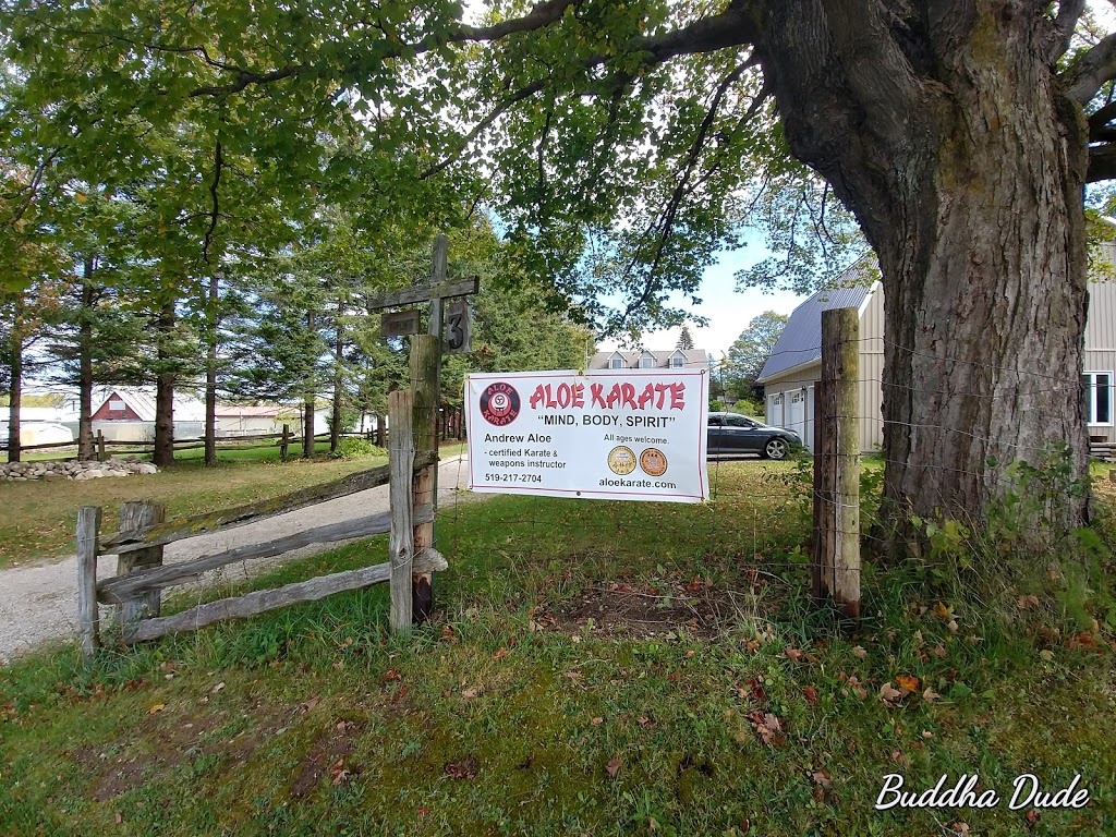 Aloe Karate | 3 St John St, Grand Valley, ON L0N 1G0, Canada | Phone: (519) 217-2704