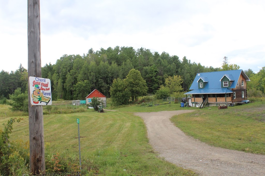 Chenil Sans Souci | 370 Chemin Clark, Wakefield, QC J0X 3G0, Canada | Phone: (819) 459-1711