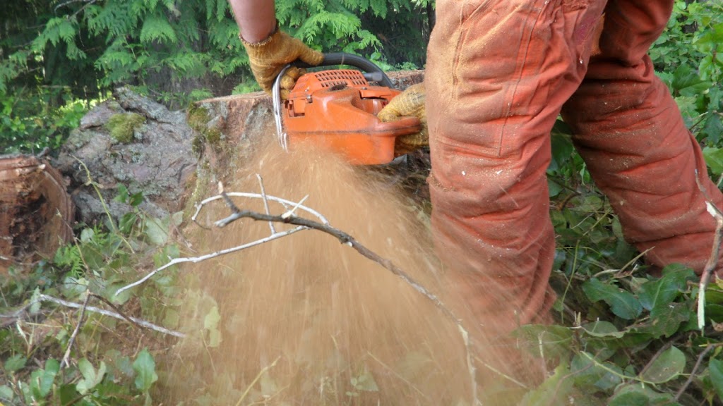 High Line Environmental | 5258 Brenton Page Rd, Ladysmith, BC V9G 1H7, Canada | Phone: (250) 667-1029