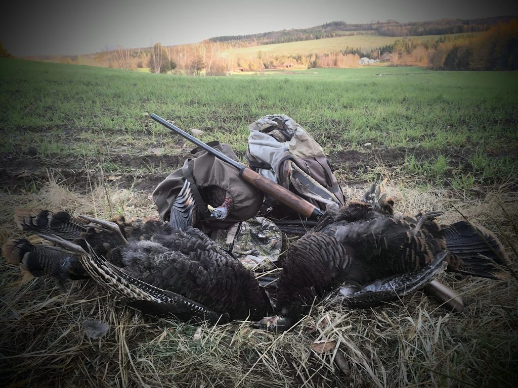 SHOOTE.CA | 247 Chem. des Sommets, Sainte-Catherine-de-Hatley, QC J0B 1W0, Canada | Phone: (819) 446-2615