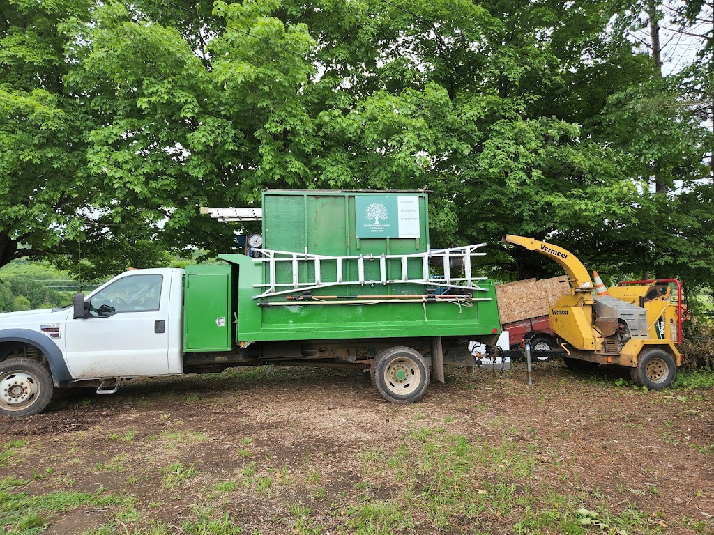 Service dArbres Aubois | 511 Chem. du Golf, Montmagny, QC G5V 3R9, Canada | Phone: (418) 941-8897