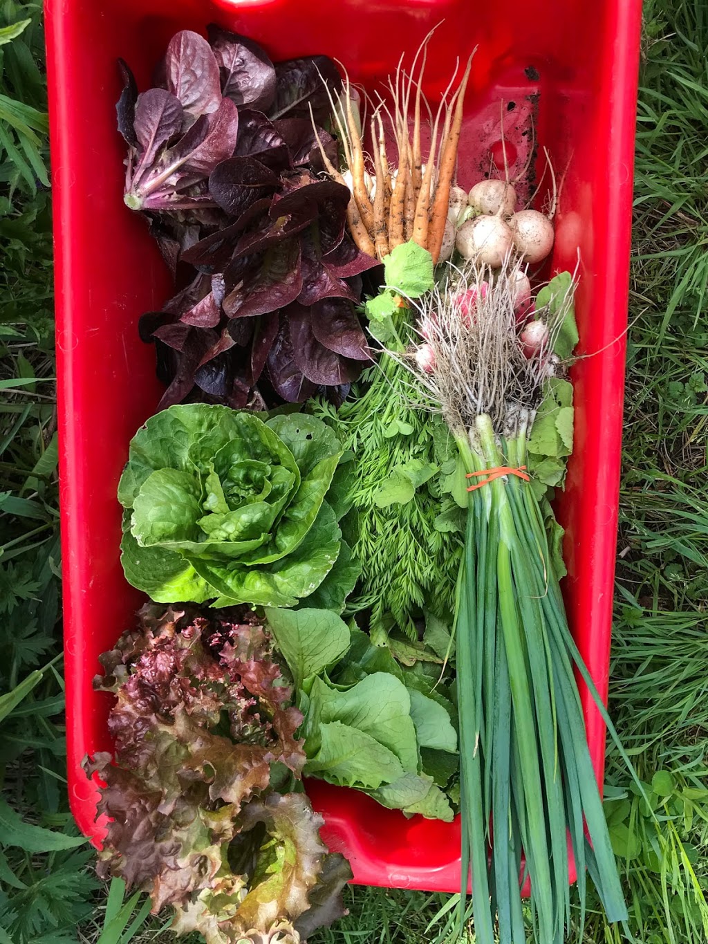 Second Season Farm | 1716 Stephenson Rd, Newcastle, ON L1B 1L9, Canada | Phone: (416) 919-8700