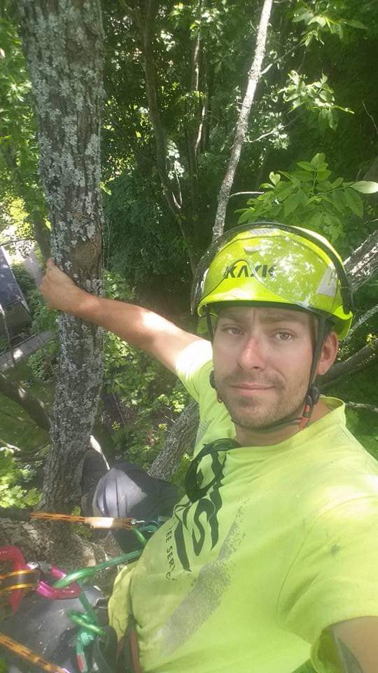 Apex Tree Surgeons - Tree Services Orillia | 4 Cheslock Cres, Orillia, ON L0K 2G0, Canada | Phone: (705) 955-7424