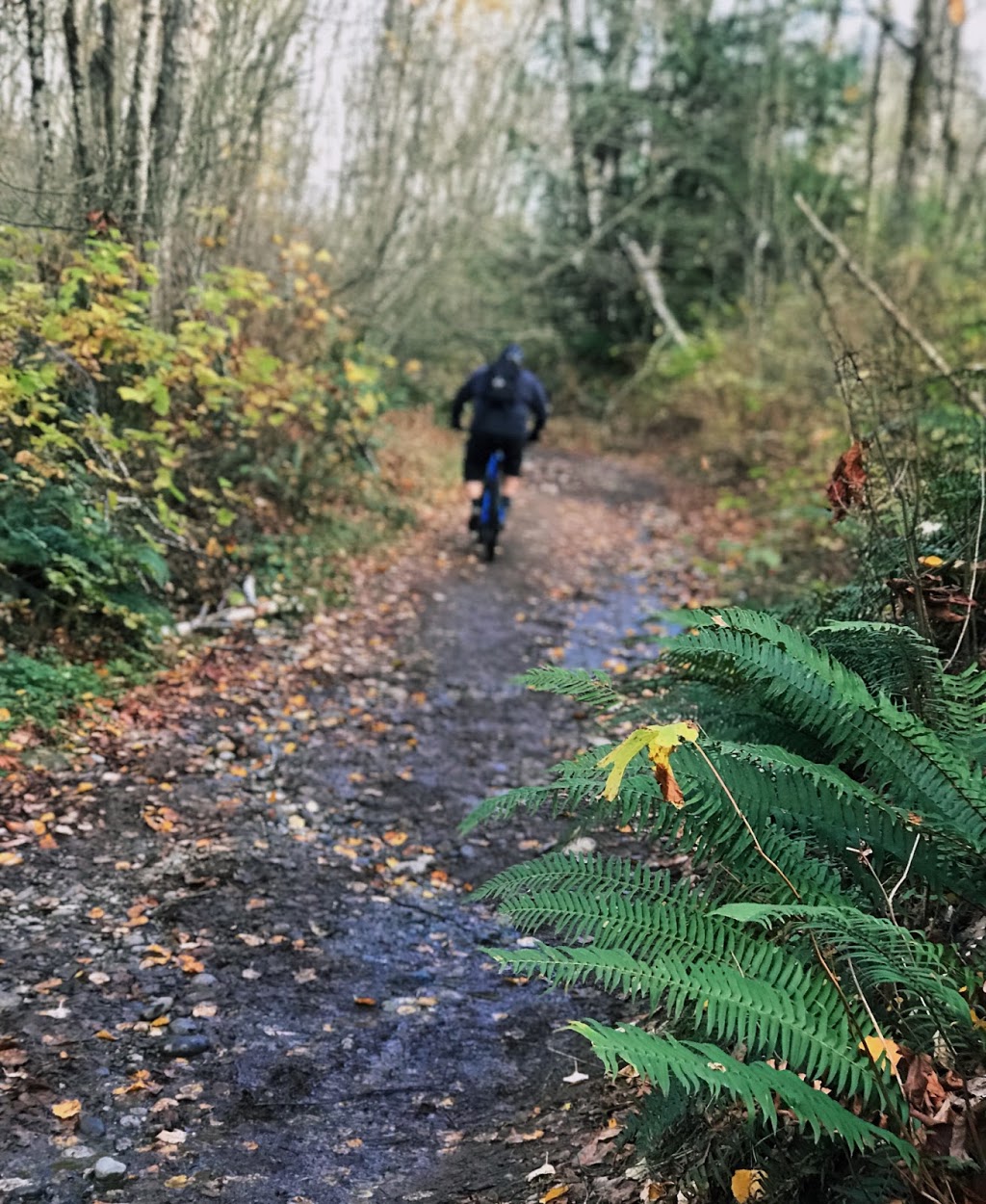 Ledgeview trail parking | 36099 McKee Rd, Abbotsford, BC V3G 2L6, Canada