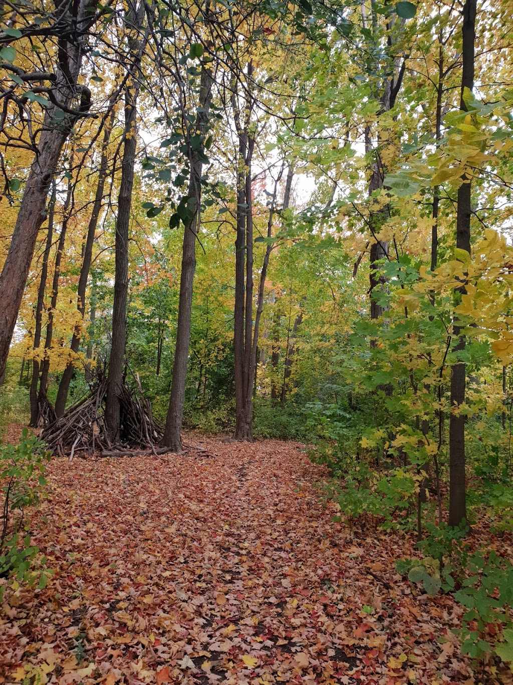 Richvale Greenway Park | Unnamed Road, Richmond Hill, ON L4C 5J2, Canada