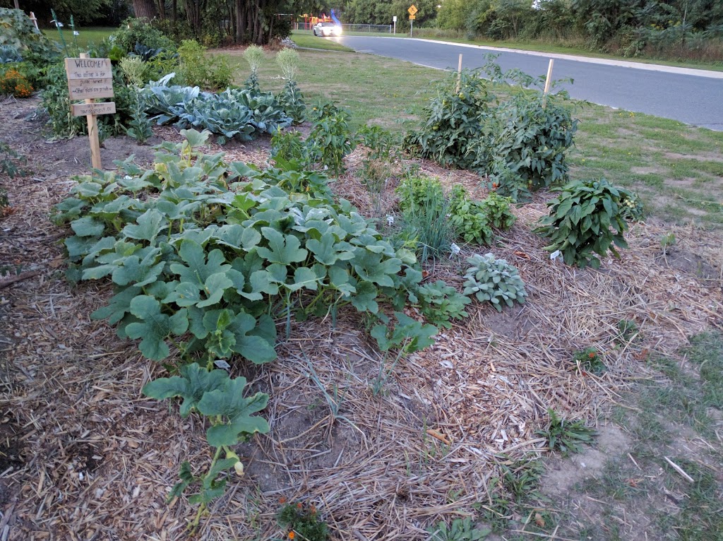 Whitefield Community Garden | 1087 Whitefield Dr, Peterborough, ON K9J 7P4, Canada | Phone: (778) 381-8337