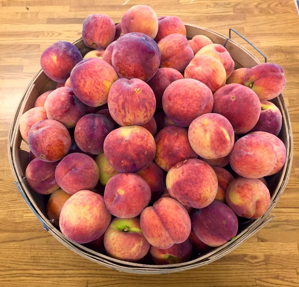 Kai Wiens Family Farm | 921 Concession 2 Rd, Queenston, ON L0S 1L0, Canada | Phone: (905) 658-2330