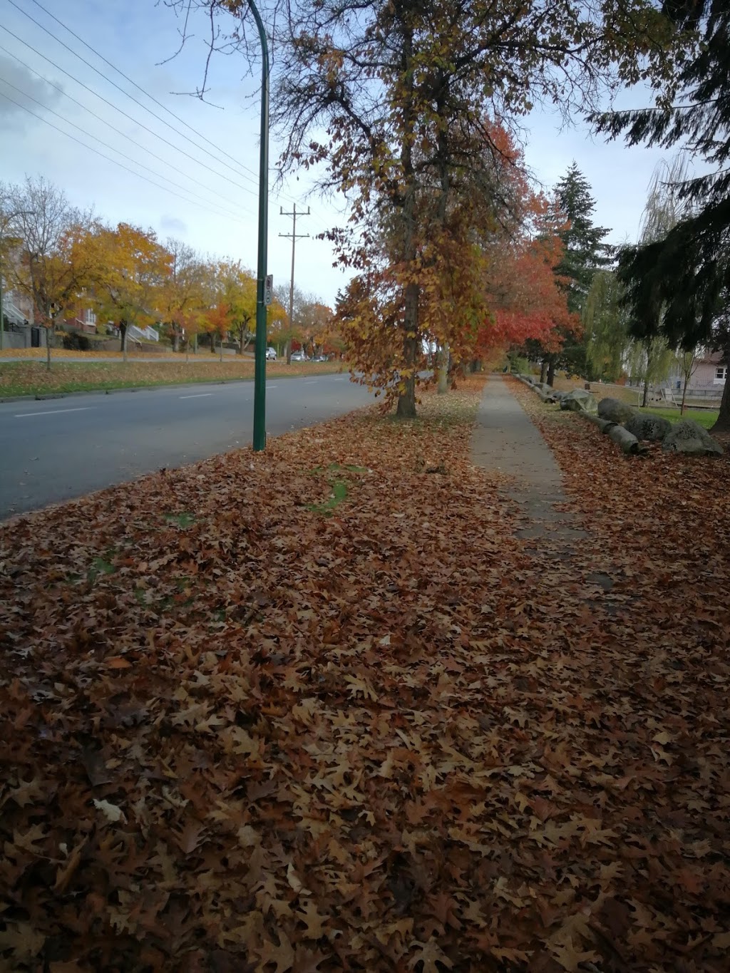 Camosun Park | 4102 W 16th Ave, Vancouver, BC V6R 3E3, Canada | Phone: (604) 873-7000