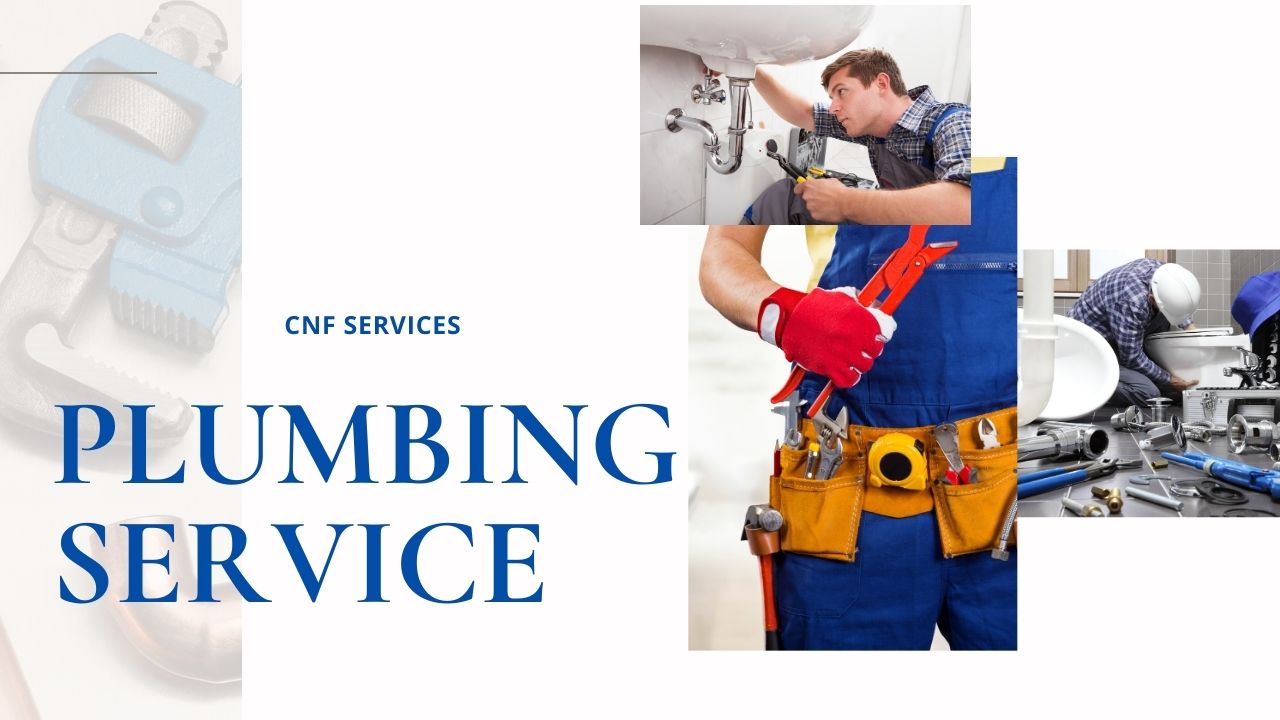 CNF Services | 2967 Dundas St W, Toronto, ON M6P 1Z2, Canada | Phone: (647) 812-4767