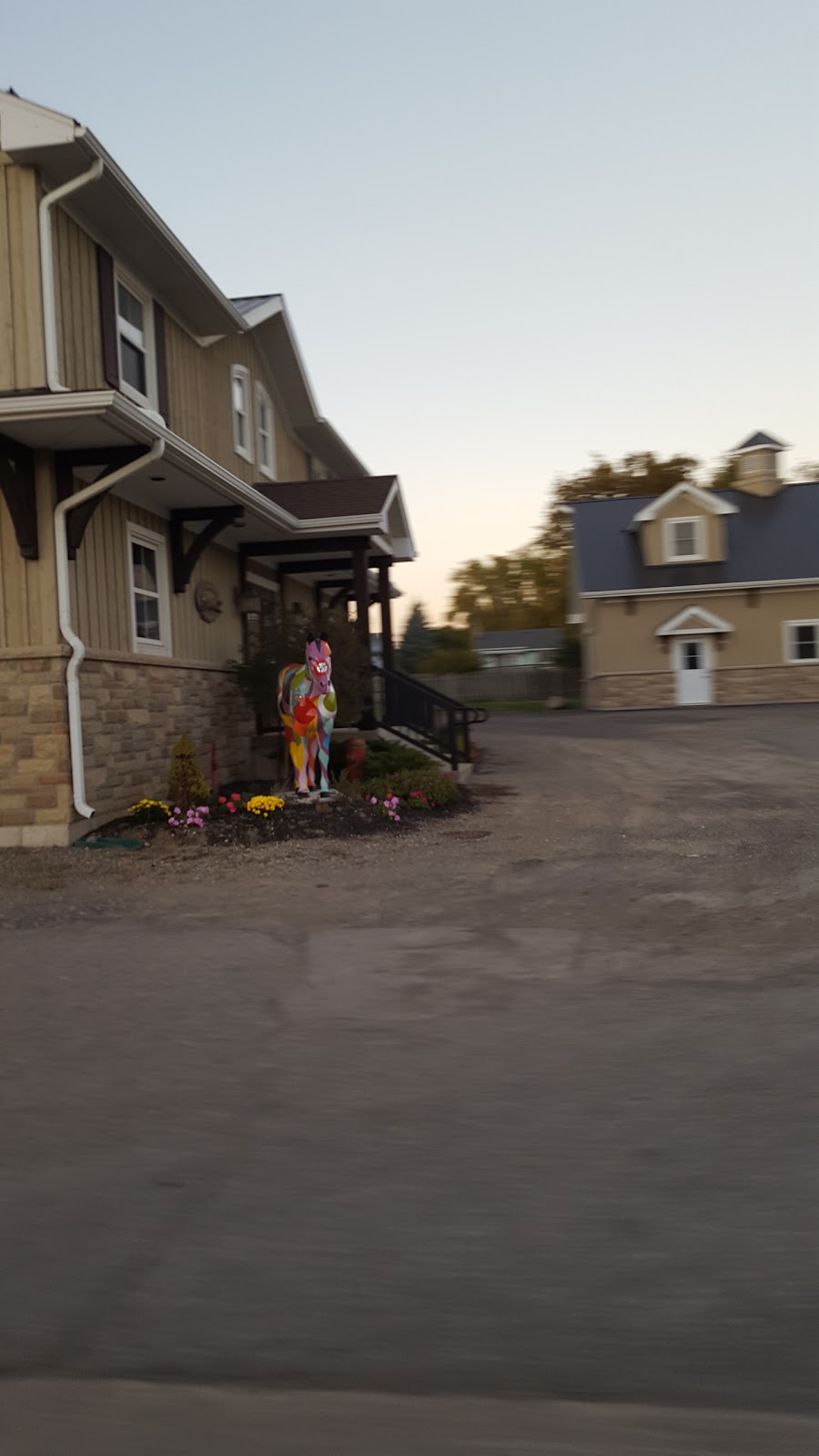 Running Fox | 19815 Airport Rd, Caledon, ON L7K 0A1, Canada | Phone: (519) 942-3933