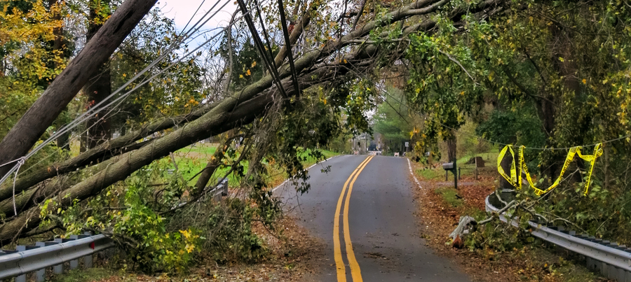 Westisland Tree Service | Old Châteauguay Rd, Kahnawake, QC J0L 1B0, Canada | Phone: (514) 631-6162