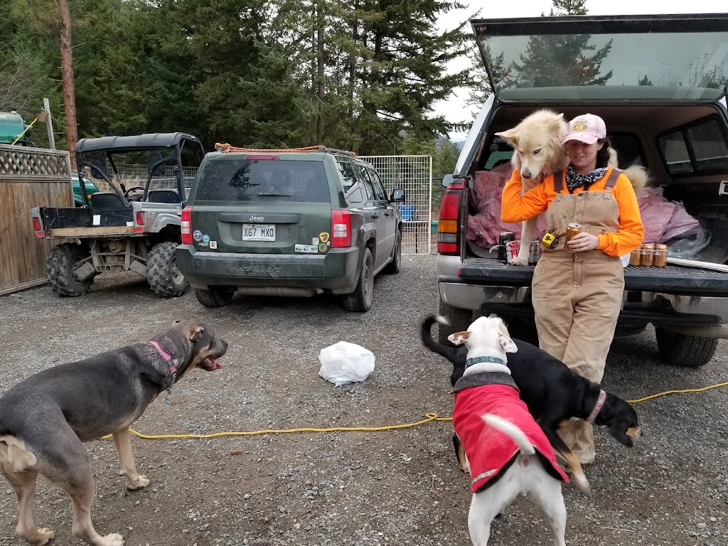 Angels Animal Rescue Society | 2460 Torgerson Rd, Merritt, BC V1K 1B8, Canada | Phone: (250) 378-5223