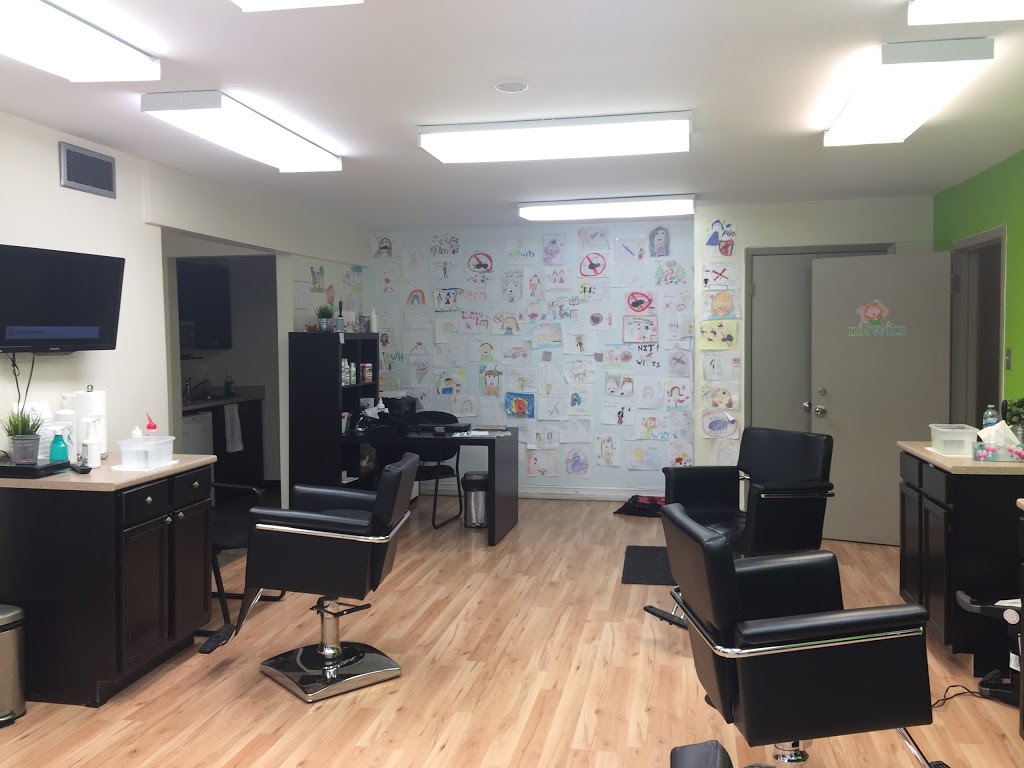 Nitwits Lice Removal Team - Toronto Clinic | 1232 Lawrence Ave E, North York, ON M3A 1B9, Canada | Phone: (416) 546-4455