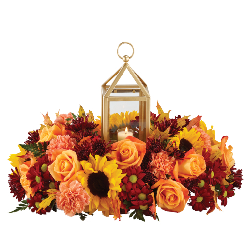 Canada Flowers | ~ Canadas National Florist, 45 Brisbane Rd #1, North York, ON M3J 2K1, Canada | Phone: (888) 705-9999