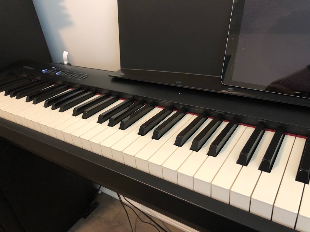 Voice and Music | 155 Ludolph St, Kitchener, ON N2R 0L9, Canada | Phone: (647) 881-6006