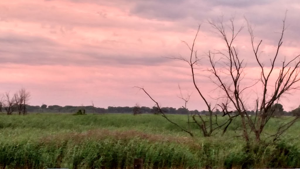 St Clair/Macomb Animal & Bird | 8128 Anchor Bay Dr, Clay Township, MI 48001, USA | Phone: (810) 794-0895