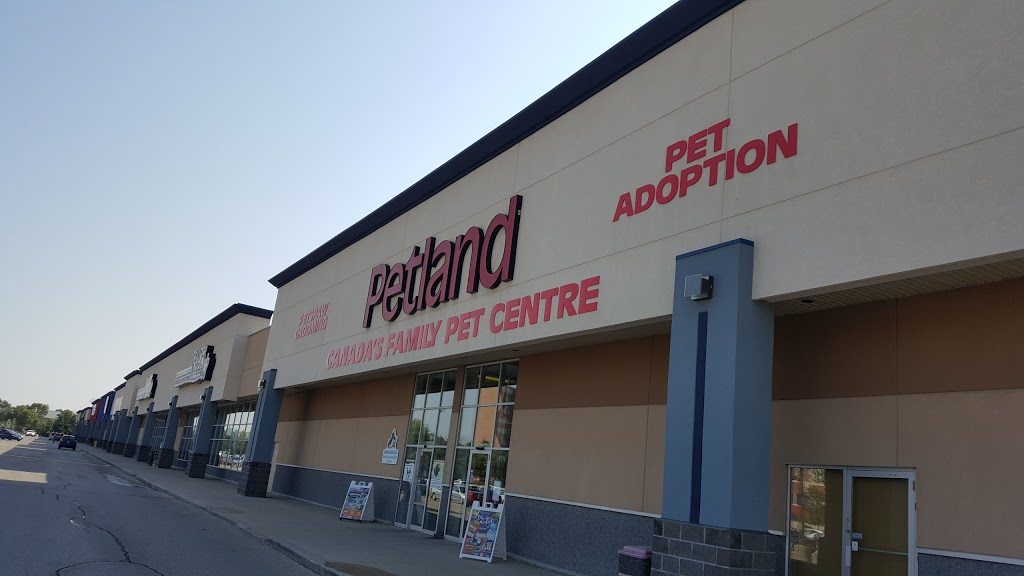Petland | 24-1910 Pembina Hwy, Winnipeg, MB R3T 4S5, Canada | Phone: (204) 989-7616