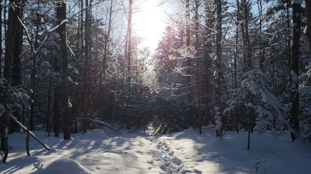 Natureza Spa Resto Chalet | 13 Rang Dion, Saint-Norbert-dArthabaska, QC G0P 1B0, Canada | Phone: (819) 261-0660