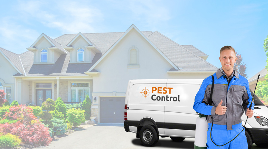 Brantford Exterminators | 720 Shellard Ln, Brantford, ON N3T 5L5, Canada | Phone: (519) 900-5434