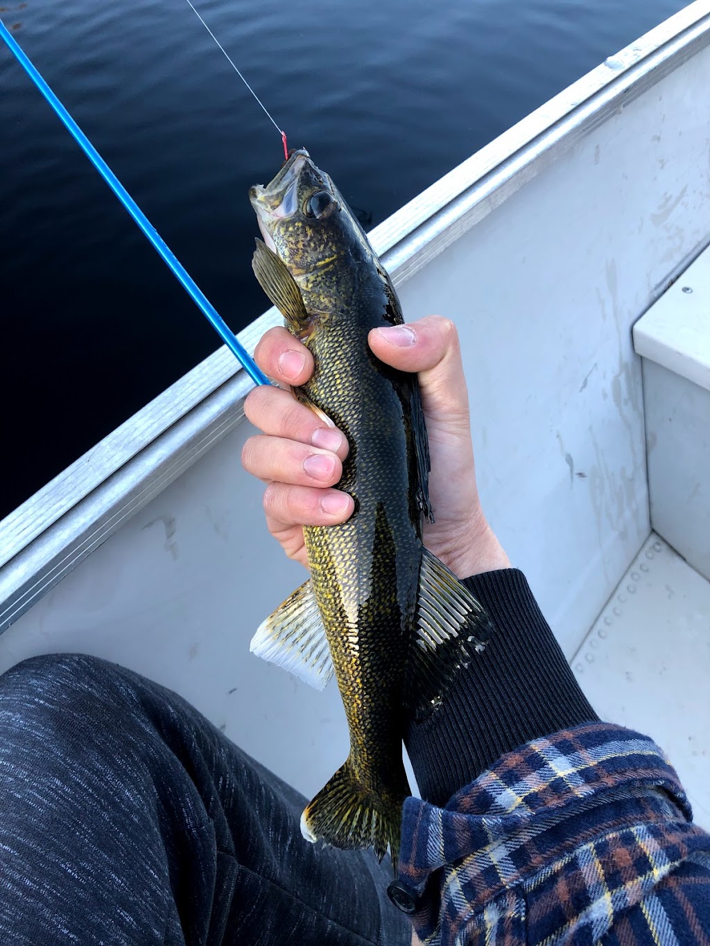 La Pourvoirie du lac Oscar | 1 Rte Forestière ro-461(25), La Tuque, QC G9X 2P2, Canada | Phone: (514) 939-3673