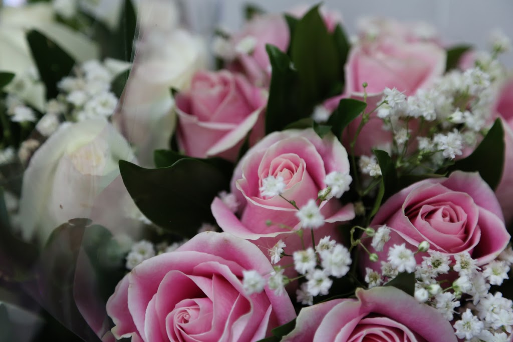 Panda Flowers | 388 Country Hills Blvd NE #256, Calgary, AB T3K 5J6, Canada | Phone: (403) 226-7673