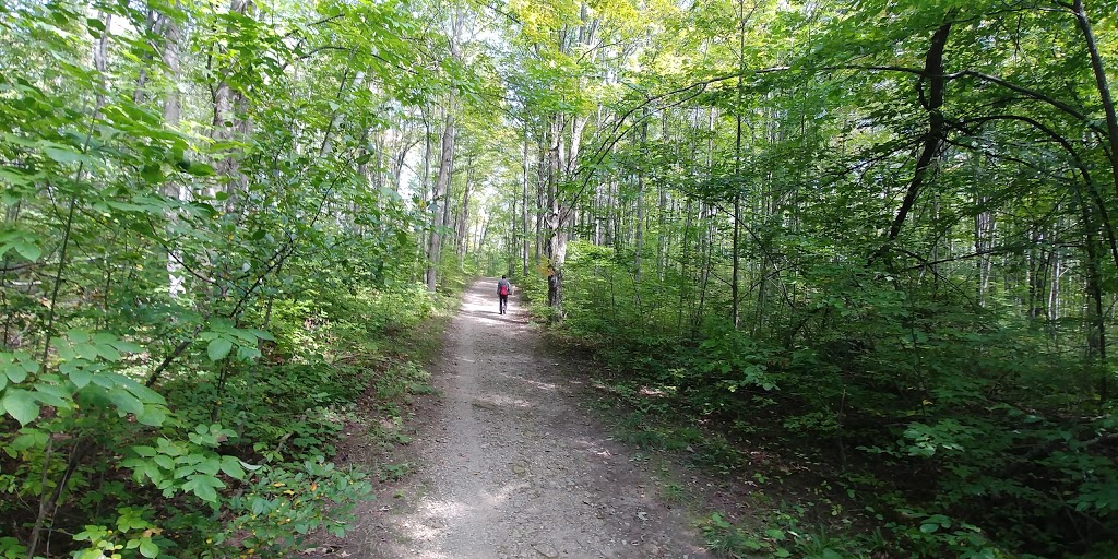 Gibner & Assoc | 10449 Sixth Line Nassagaweya, Milton, ON L9T 2X7, Canada | Phone: (905) 875-9292