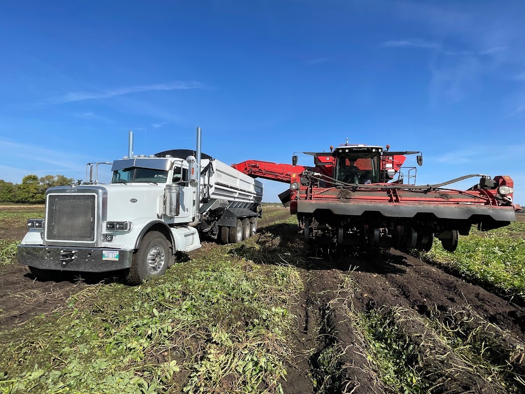 Millshof Colony | Glenboro, MB R0K 2E0, Canada | Phone: (204) 222-2223