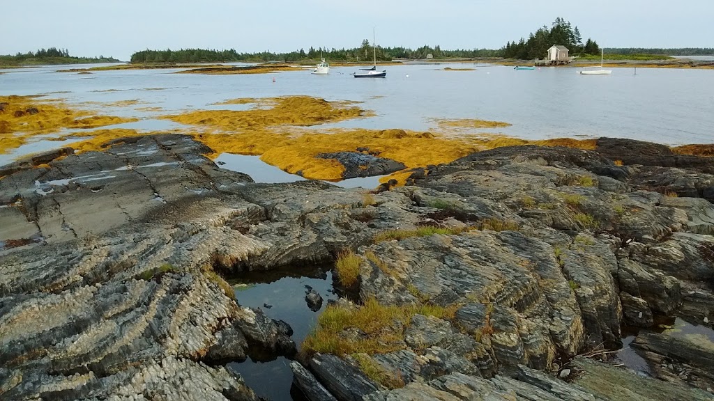 Pleasant Paddling | 245 The Point Rd, Lunenburg, NS B0J 2C0, Canada | Phone: (902) 541-9233