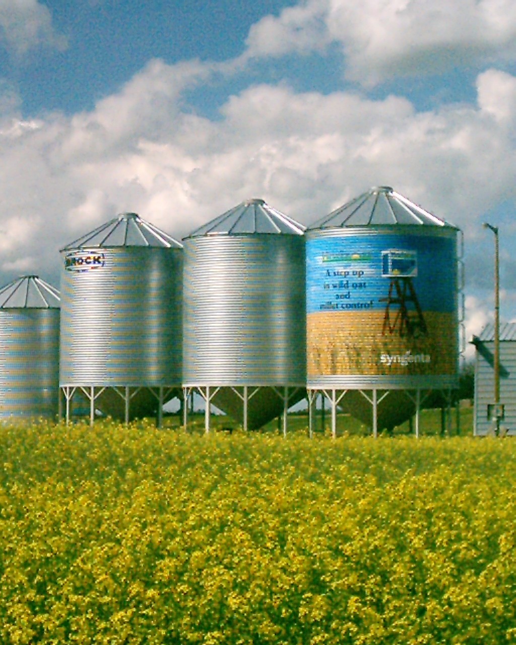 Canadian Decal Installers | 121 West Springs Pl SW, Calgary, AB T3H 4W2, Canada | Phone: (403) 246-7157