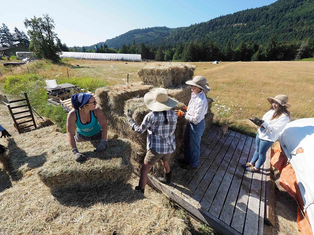 EcoReality Sustainable Land Use and Education Cooperative | 2152 Fulford-Ganges Rd, Salt Spring Island, BC V8K 1Z7, Canada | Phone: (250) 653-2024