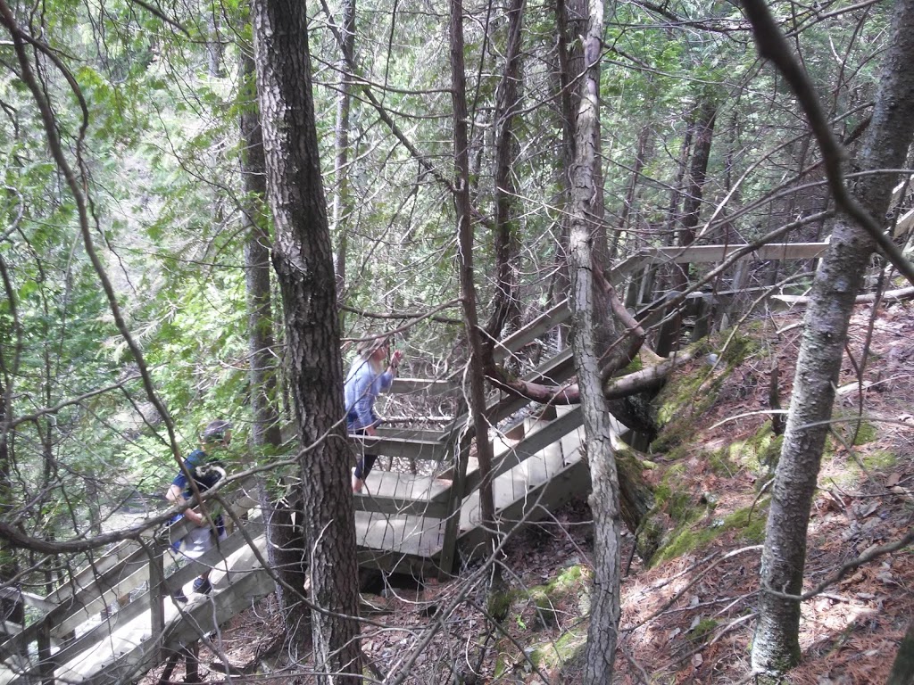 Mont Ste-Anne | Saint-Ferréol-les-Neiges, QC G0A 3R0, Canada