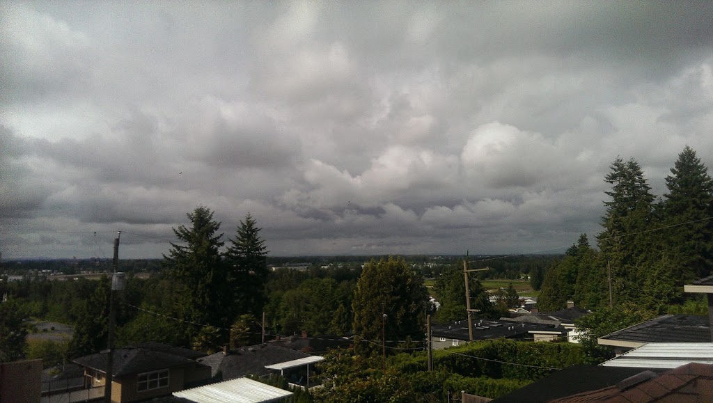 Froggers Creek Ravine | 8184 Nelson Ave, Burnaby, BC V5J 4E5, Canada